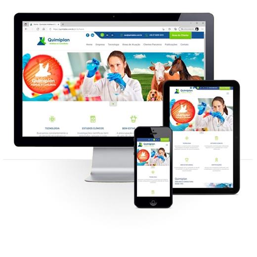 Layout responsivo do projeto de criação de sites: 