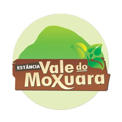 logo Vale do Moxuara